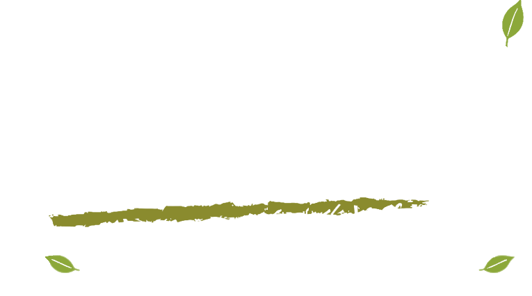 สวนเสรี · ทุเรียนเมืองนนท์